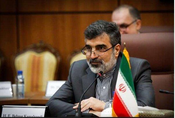 کمال وندی:سفر گروسی ارتباطی با مکانیزم ماشه ندارد