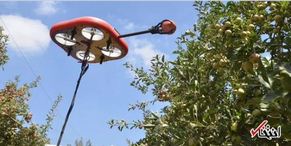 ربات پرنده ای که میوه می چیند ربات پرنده ای که میوه می چیند